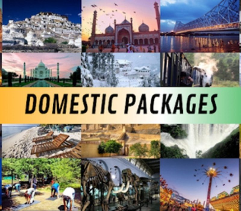 domestic-tour-packages-services